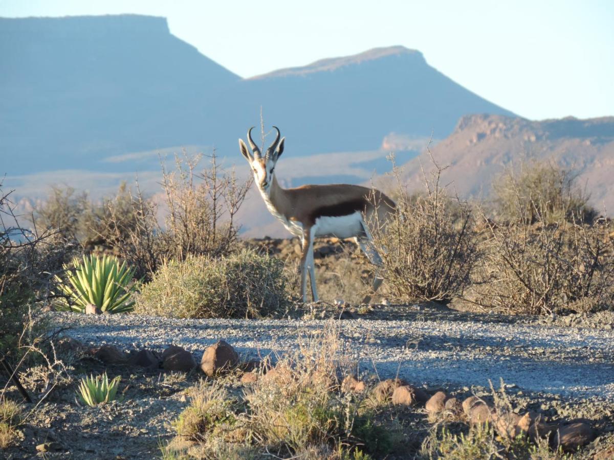 Teri-Lemveli Lodge Beaufort West Eksteriør bilde