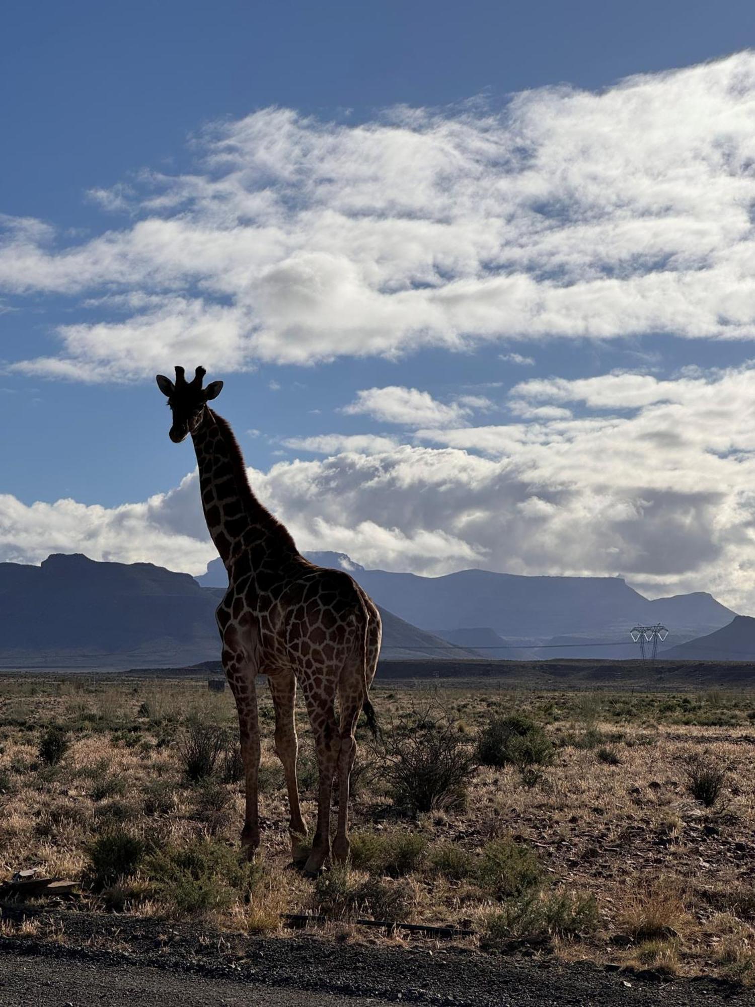 Teri-Lemveli Lodge Beaufort West Eksteriør bilde