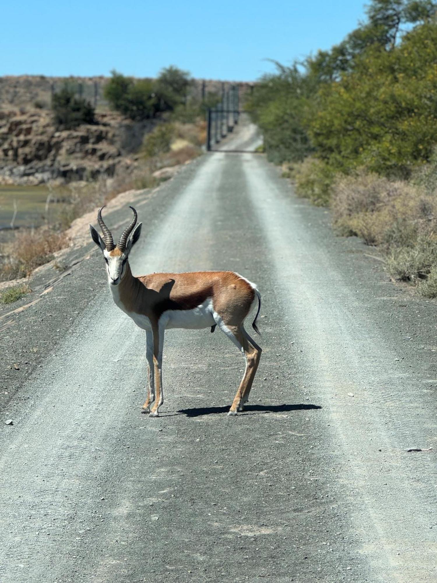 Teri-Lemveli Lodge Beaufort West Eksteriør bilde