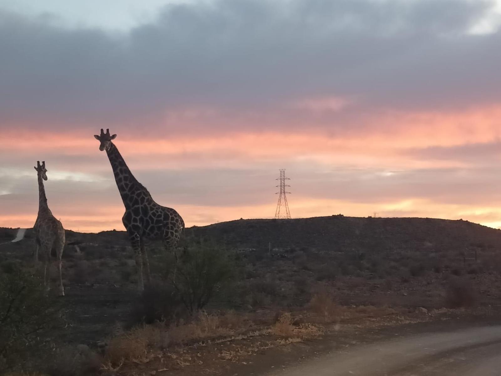 Teri-Lemveli Lodge Beaufort West Eksteriør bilde