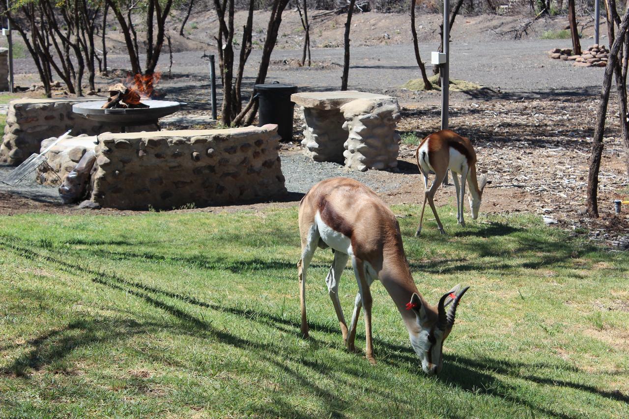 Teri-Lemveli Lodge Beaufort West Eksteriør bilde